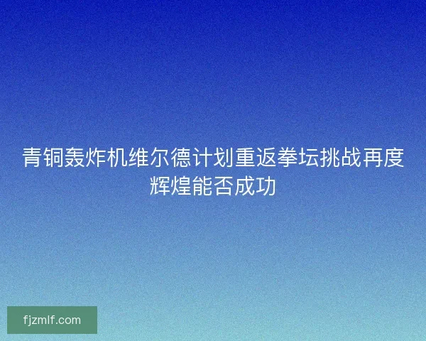 青铜轰炸机维尔德计划重返拳坛挑战再度辉煌能否成功